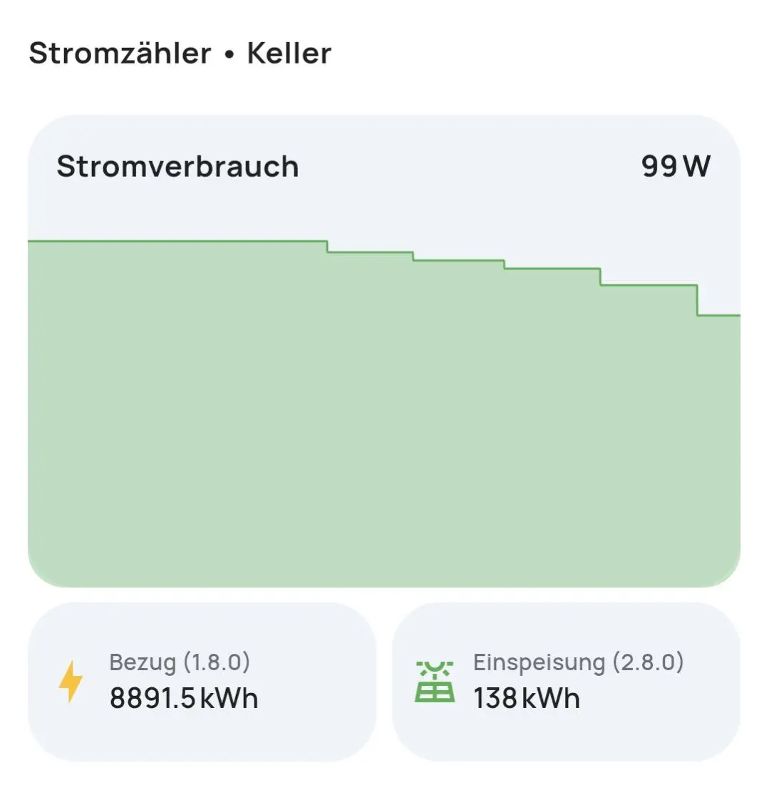 everHome EcoTracker Smart Meter