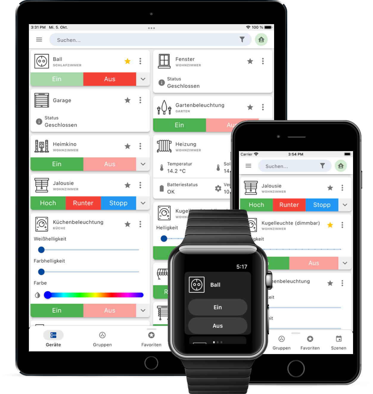 Smart Meter Everhome EcoTracker